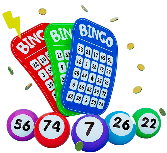 Bingo Program Software