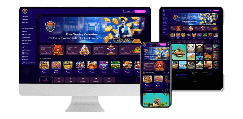 Software development