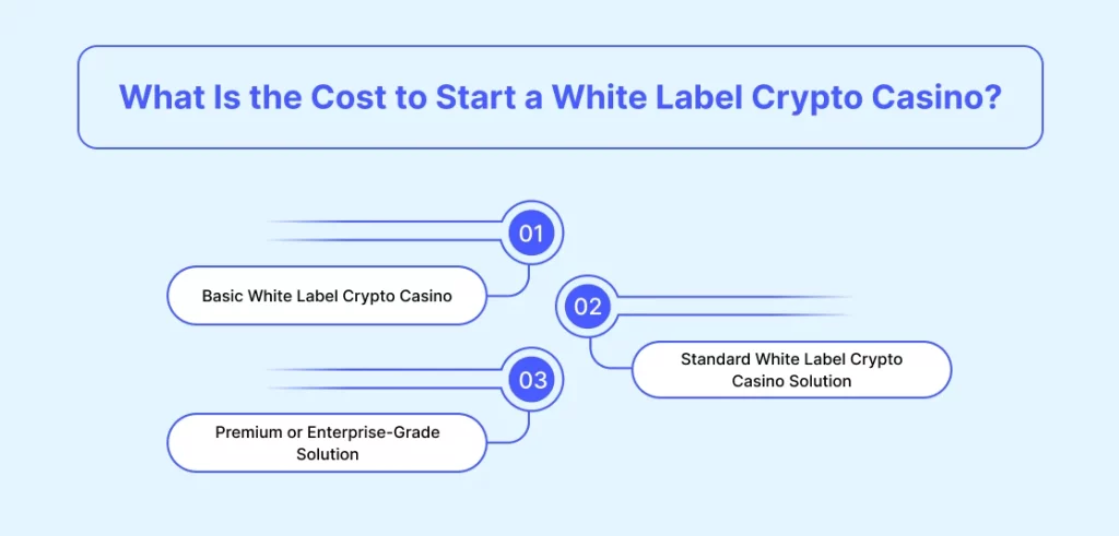 What Is the Cost to Start a White Label Crypto Casino