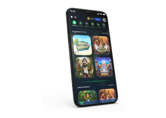 Web-Based Casino Software image