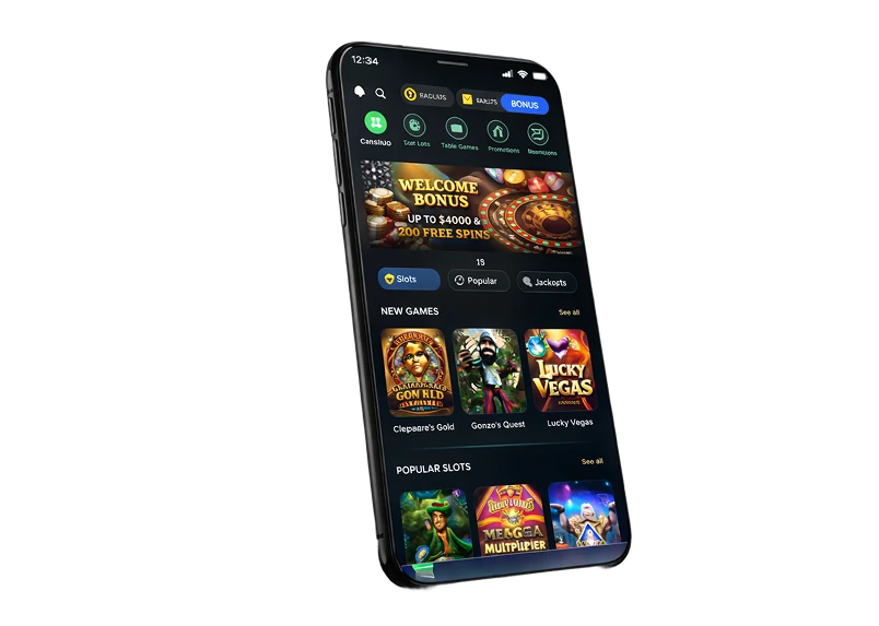 Web-Based Casino Software image