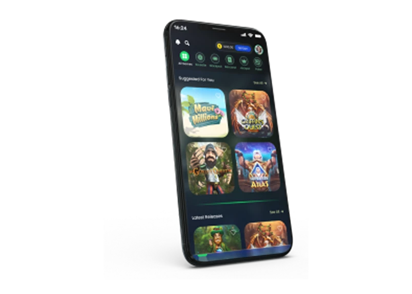 Web-Based Casino Software image