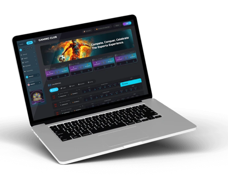 Web-Based Casino Software image