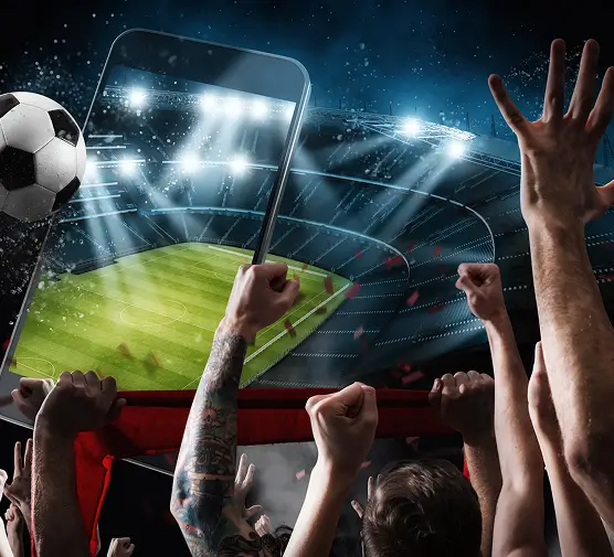 White Label Football Betting Software Development Solutions2