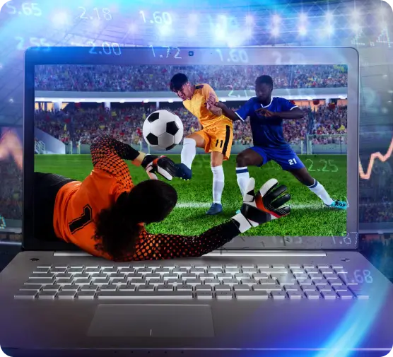 custom sportsbook software solutions platform