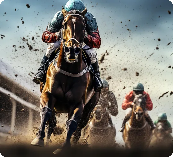 horse racing betting system platform
