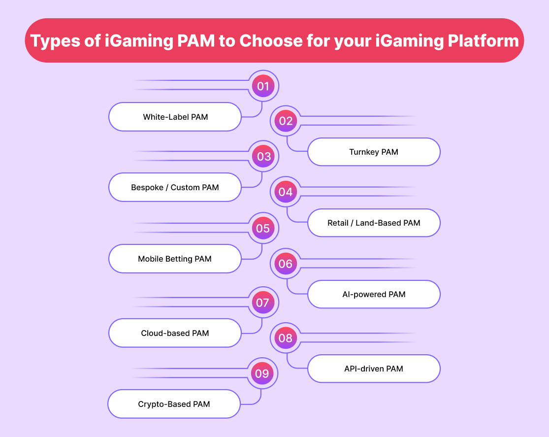 Types of iGaming PAM to Choose for your iGaming Platform